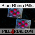 Blue Rhino Pills 14